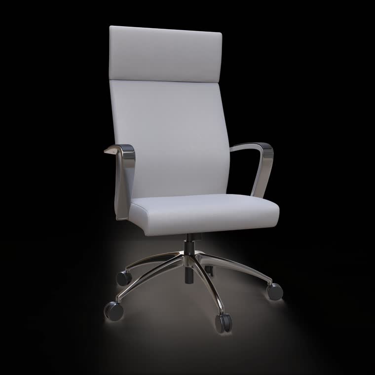 Executive Office Chair — furniture & interior